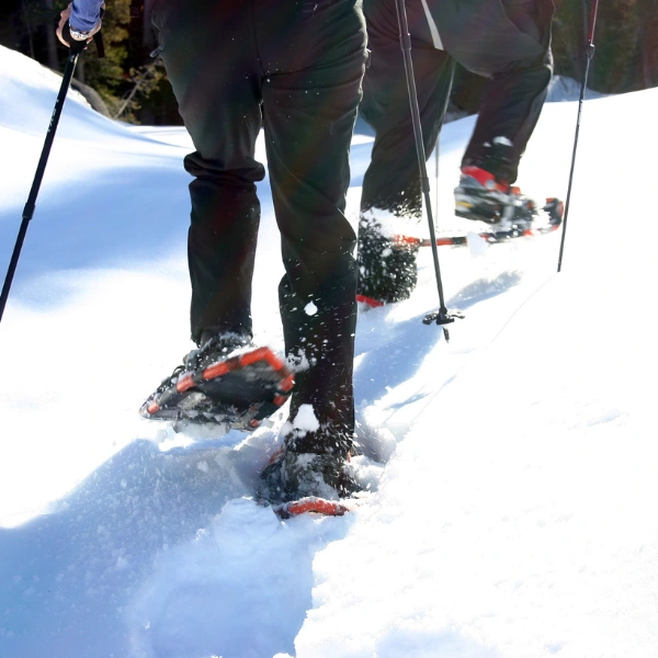 Snoeshoeing Kemijärvi